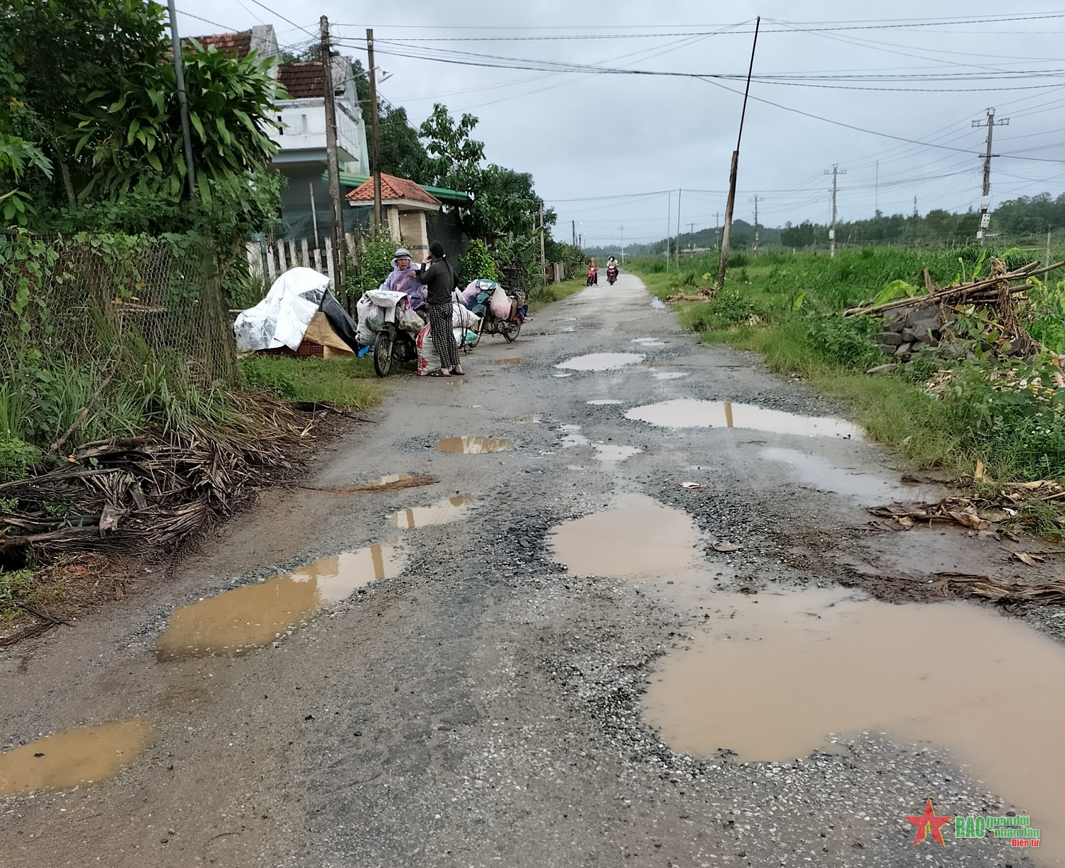 Quảng Ngãi: Đường ĐH10 xuống cấp nghiêm trọng